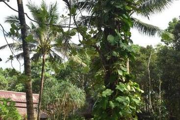 هتل Bamboo Bungalows