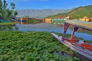 هتل New Bul Bul Group Of Houseboats