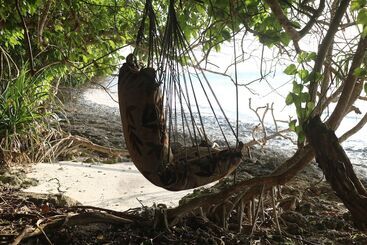 هتل Swahili Divers & Gecko Nature Lodge