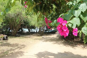 هتل Swahili Divers & Gecko Nature Lodge