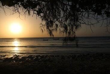 هتل Swahili Divers & Gecko Nature Lodge