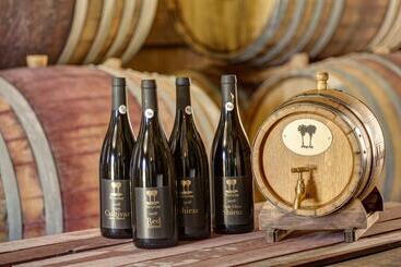 پانسیون Neuras Wine & Wildlife Estate
