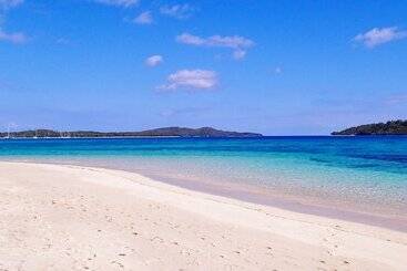 هتل Coconut Beach Resort