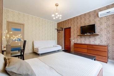 酒店 Amosov S House