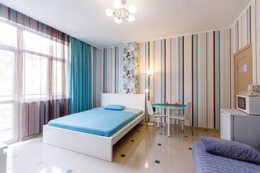 酒店 Amosov S House