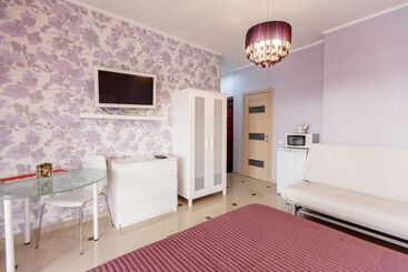 酒店 Amosov S House