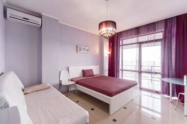 酒店 Amosov S House