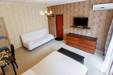 酒店 Amosov S House