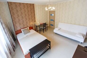 酒店 Amosov S House