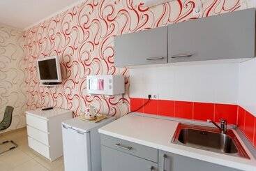酒店 Amosov S House