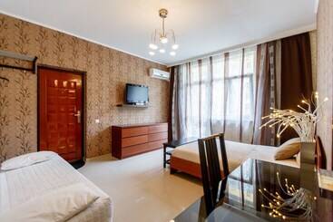 酒店 Amosov S House