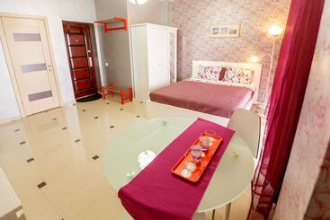 酒店 Amosov S House