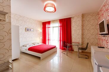 酒店 Amosov S House