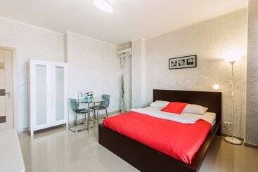 酒店 Amosov S House