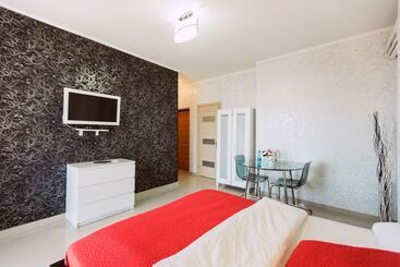 酒店 Amosov S House