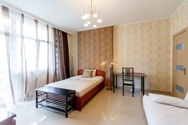 酒店 Amosov S House