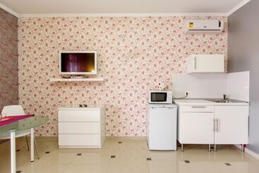 酒店 Amosov S House