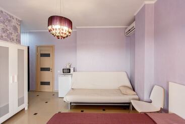 酒店 Amosov S House