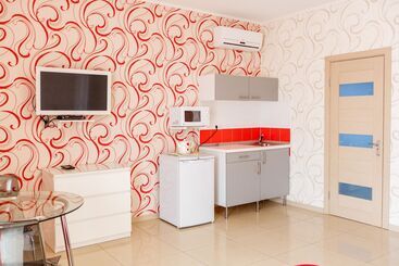 酒店 Amosov S House