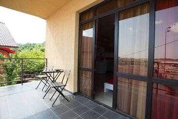 酒店 Amosov S House