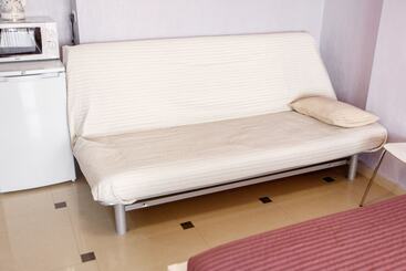 酒店 Amosov S House