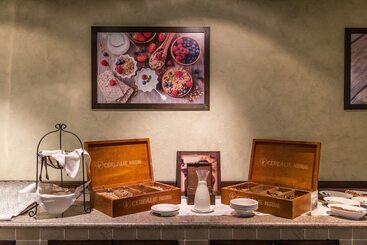Aplend Wellness Hotel Borovica