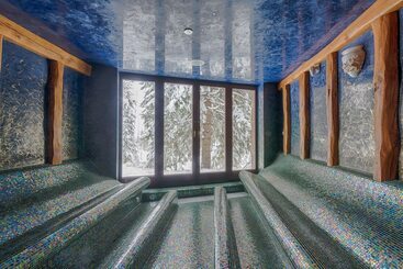 Aplend Wellness Hotel Borovica