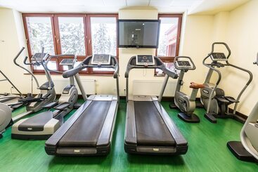 Aplend Wellness Hotel Borovica