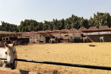 اقامتگاه Equestrian Lodge Pyramids Egypt
