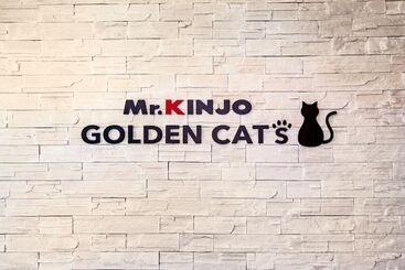 هتل Mr.kinjo Golden Cats