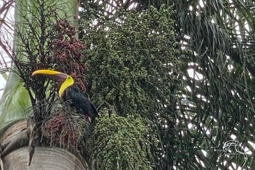 هتل Tropical Garden