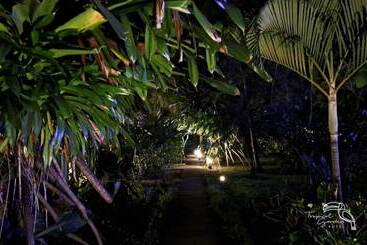 هتل Tropical Garden