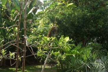 هتل Tropical Garden
