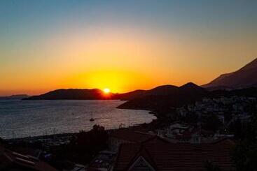 Cedrus Suites