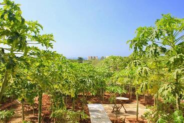 تختخواب و صبحانه Casa Mediterranea