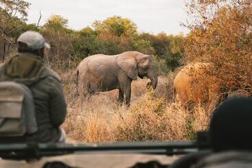 هتل Simbavati River Lodge
