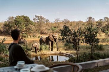 هتل Simbavati River Lodge