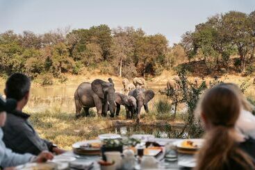 هتل Simbavati River Lodge