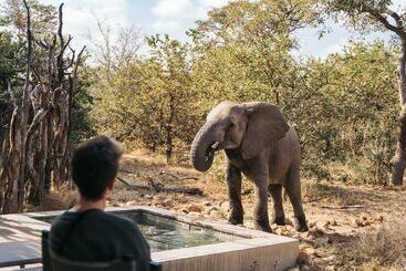 هتل Simbavati River Lodge