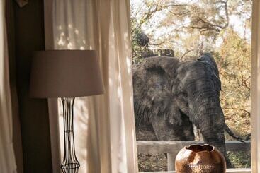 هتل Simbavati River Lodge