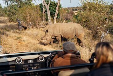 هتل Simbavati River Lodge
