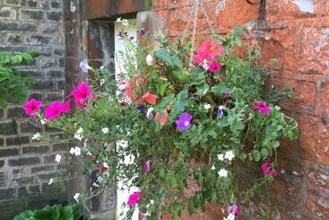 The Old Vicarage B&b