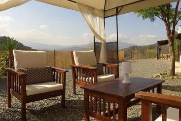 تختخواب و صبحانه Corazón Andaluz Guesthouse