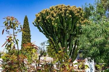 تختخواب و صبحانه The Palms Boutique Resort Málaga   Adults Only