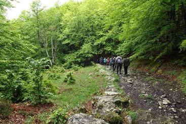 Casa Rural Eikolara Landetxea