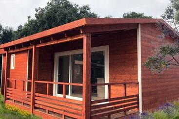 Camping Resort & Bungalow Park Mas Patoxas
