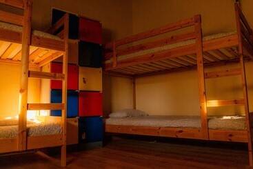 Twin Fin Surf Camp   Hostel
