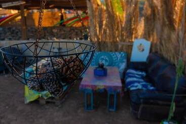 Twin Fin Surf Camp Hostel