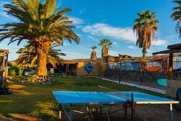 Twin Fin Surf Camp   Hostel