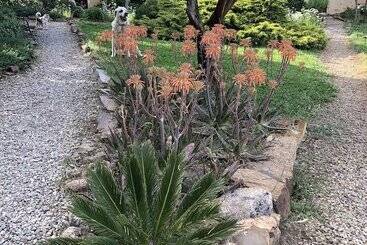 تختخواب و صبحانه La Cerca Del Alcornoque